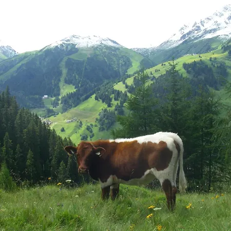 Hof Am Platzli-2